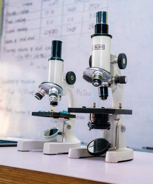 Microscopes in the Biology Laboratory